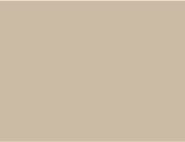 A solid, plain, light beige-colored background.