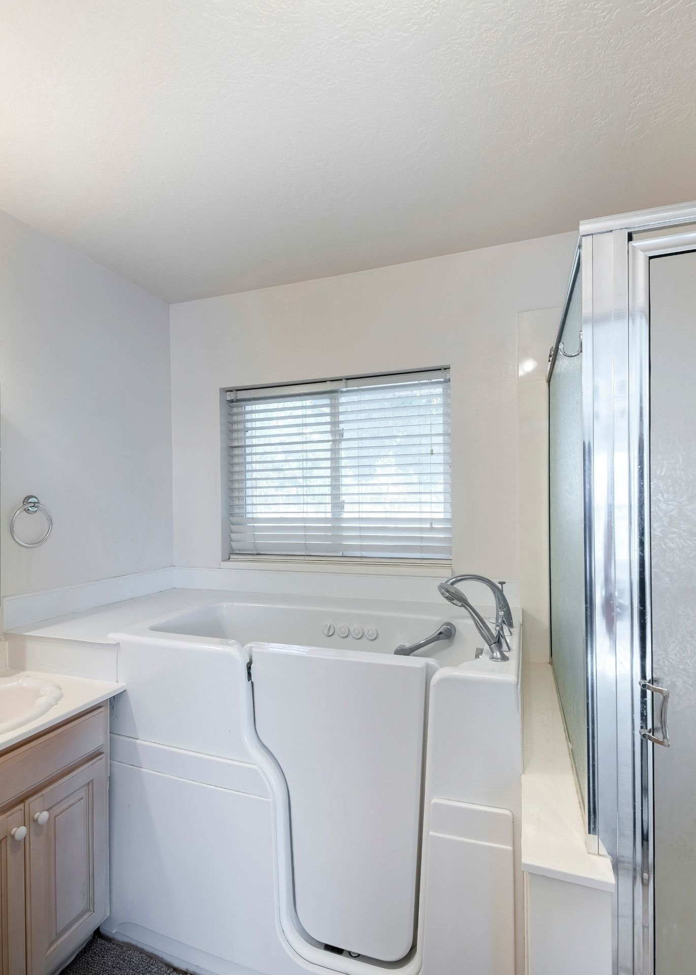 A white step-in walk-in bathtub with a side door and handheld showerhead, located next to a glass-enclosed shower.