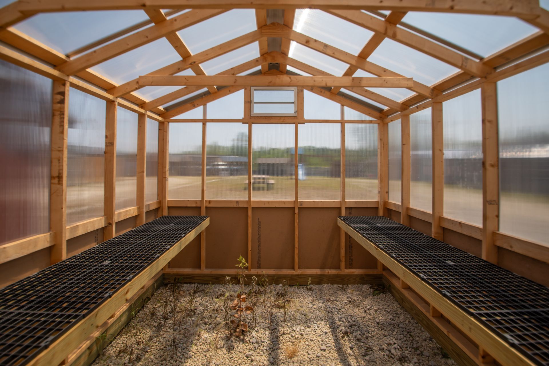 Inside a wooden greenhouse with translucent walls and roof; empty seedling trays line the interior benches.