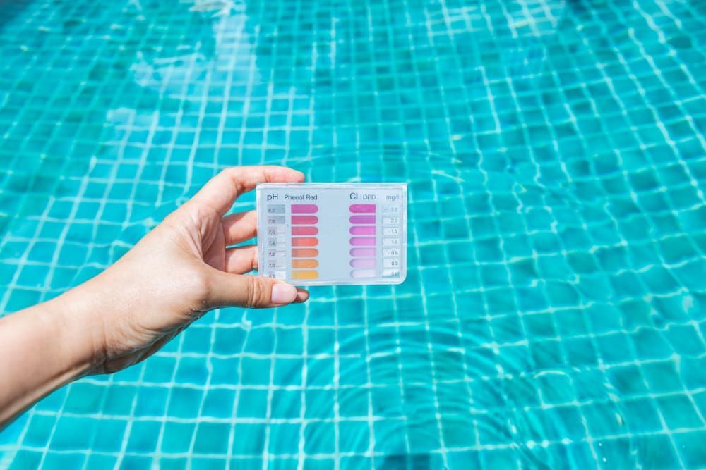 A Person is Holding a Test Kit in Front of a Swimming Pool — Intouch Pools & Spas in Forster, NSW