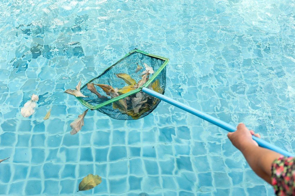 Person Using a Blue-handled Net to Scoop Leaves and Debris From a Turquoise Tiled Swimming Pool — Intouch Pools & Spas in Forster, NSW
