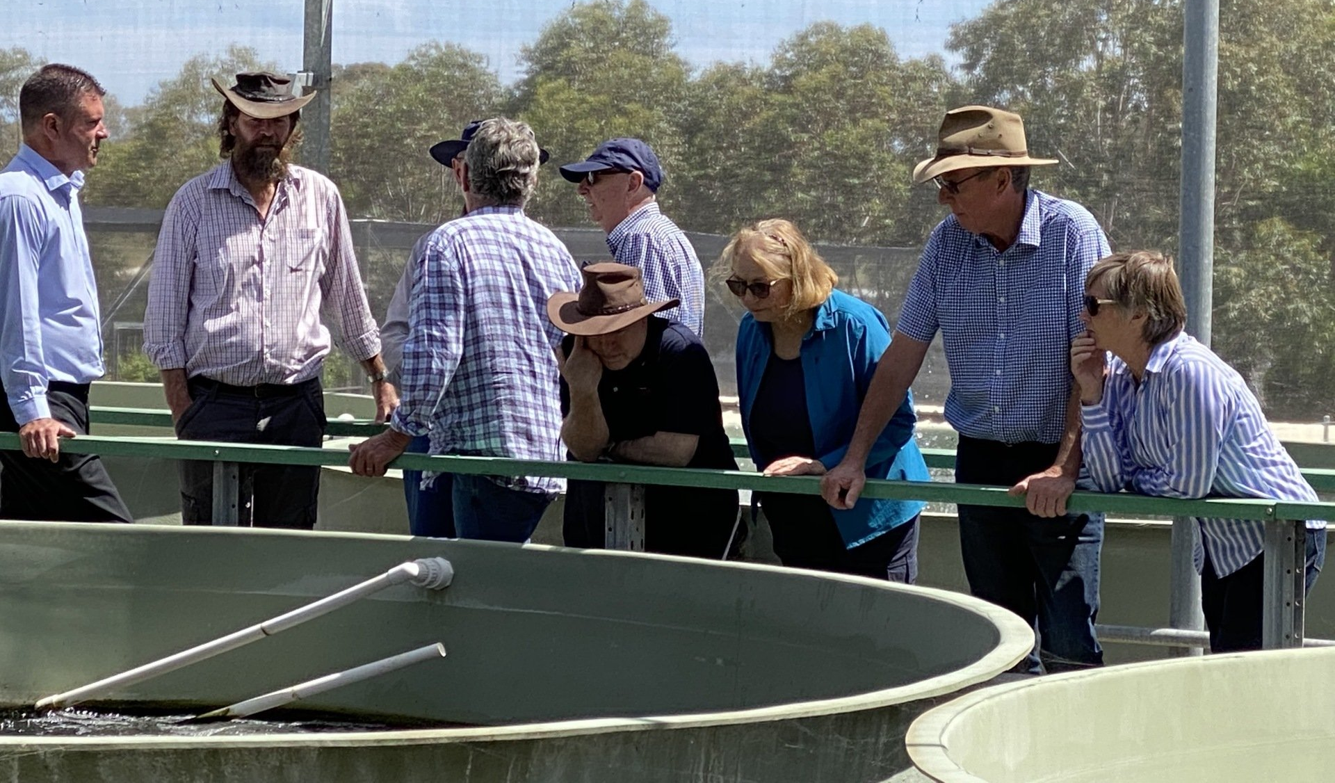 Stable Fly Action Group Committee