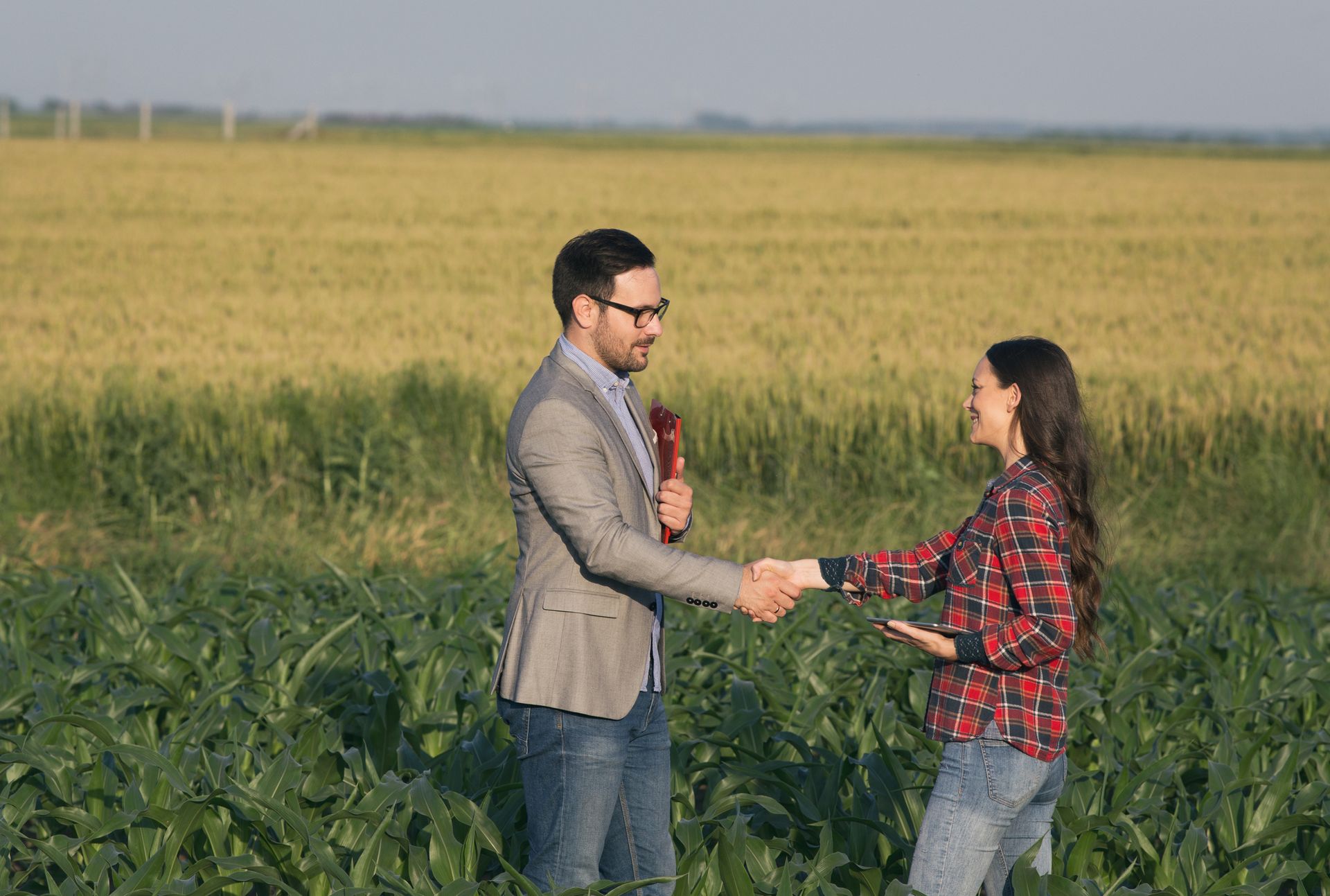 Farm Insurance – Poplar Bluff, MO – Sterling Insurance Agency, LLC 