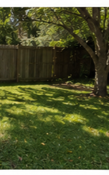 Lawn and Yard Care St Johns and St Augustine FL