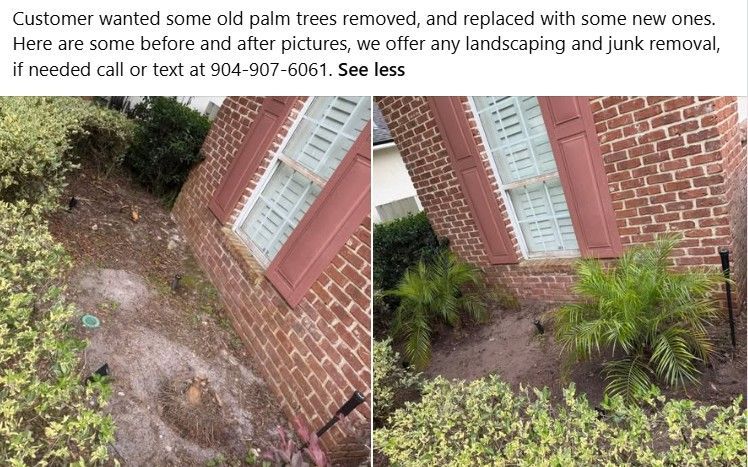 Replanting in Jacksonville