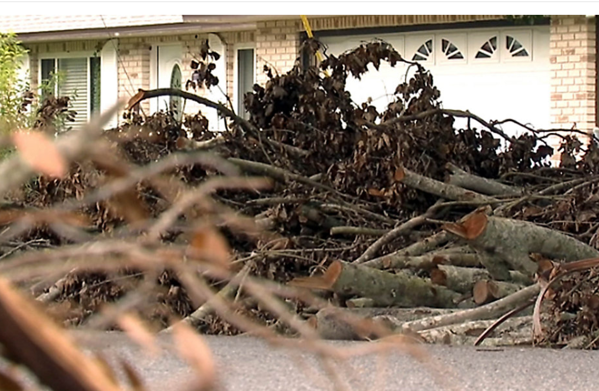 Yard Debris Cleanup After a Storm in Northeast Florida 