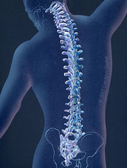A person holding their lower back, which is highlighted with a glowing orange light to signify pain or injury. A person holding their lower back, which is highlighted with a glowing orange light to signify pain or injury.