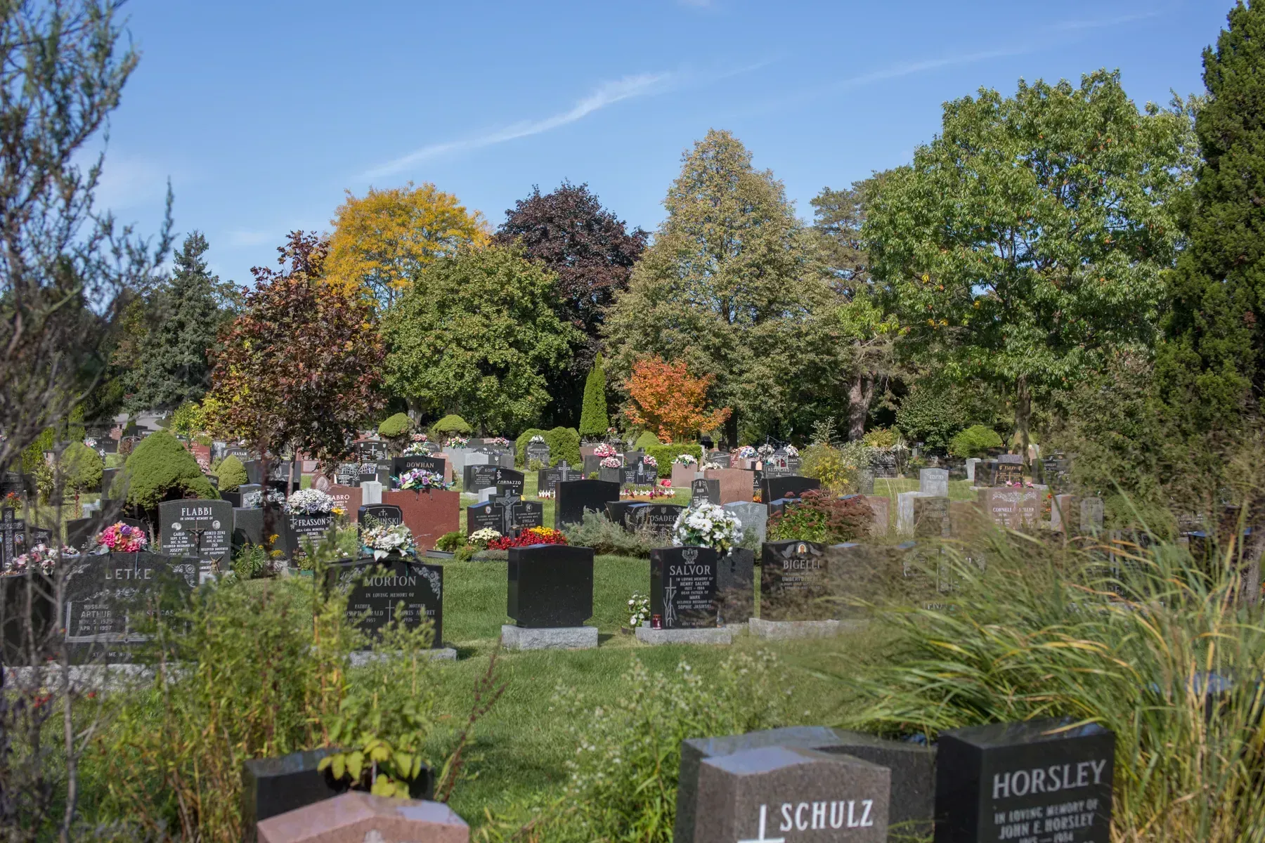 Gravestones in a sunny cemetery with green grass and autumn-colored trees under a blue sky