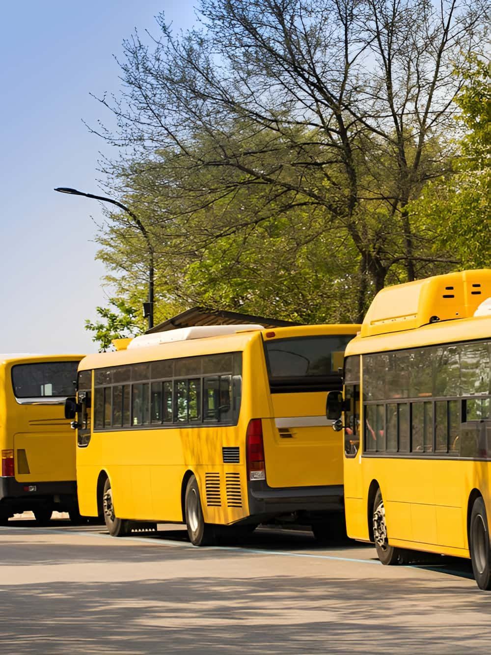 A Row Of Yellow Buses Are Parked On The Side Of The Road — Petrena Windscreens In Toowoomba City, QLD