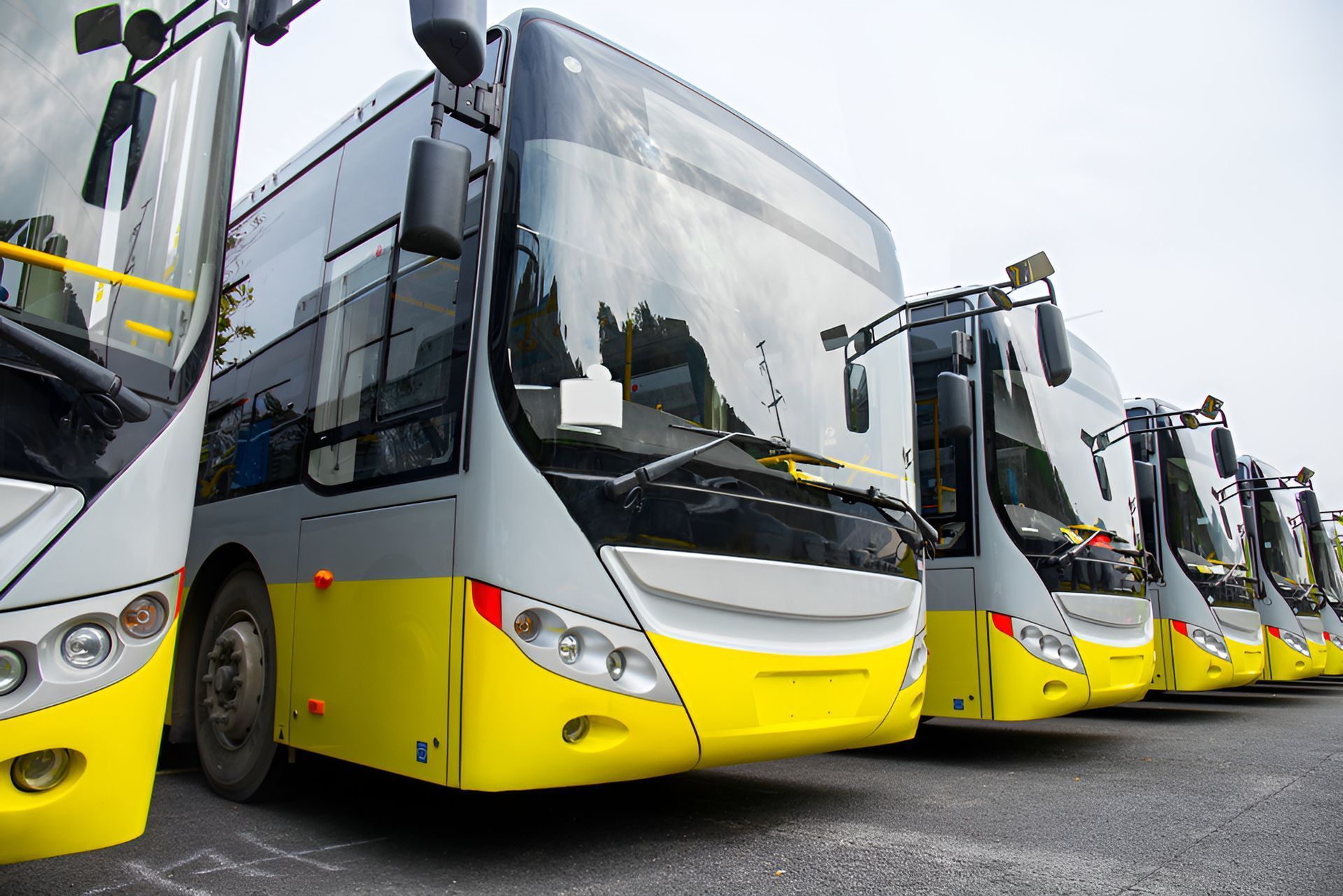 A Row Of Yellow Buses Are Parked Next To Each Other In A Parking Lot — Petrena Windscreens In Millmerran, QLD