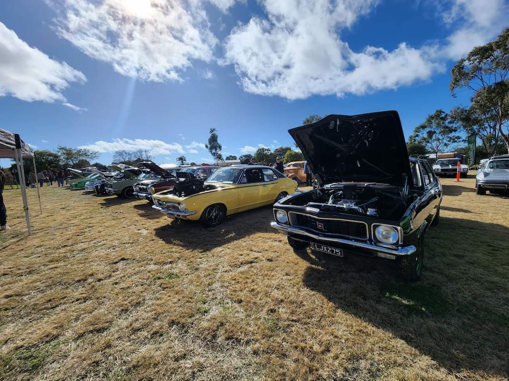 A Row Of Cars Are Parked In A Field With The Hoods Up — Petrena Windscreens In Aubigny, QLD