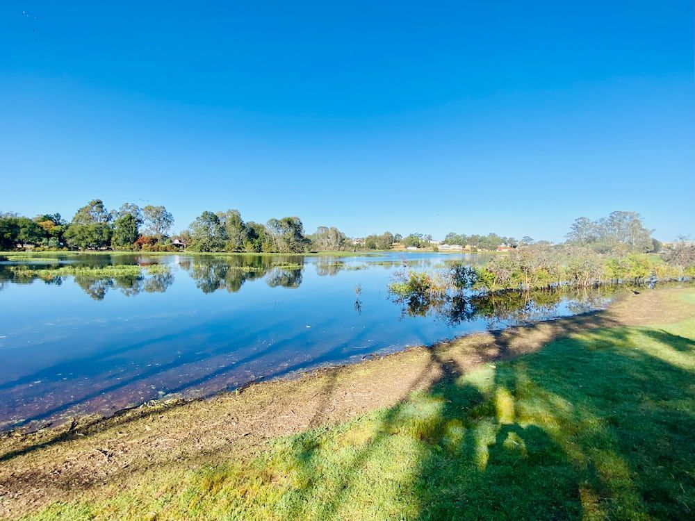 A Large Body Of Water Surrounded By Grass And Trees On A Sunny Day — Petrena Windscreens In Gatton, QLD