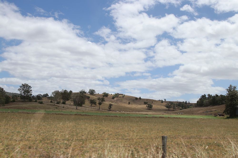 A Field With A Fence In The Foreground And A Hill In The Background — Petrena Windscreens In Allora, QLD