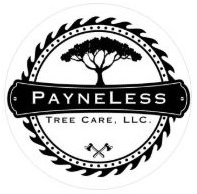 Payneless Tree Care