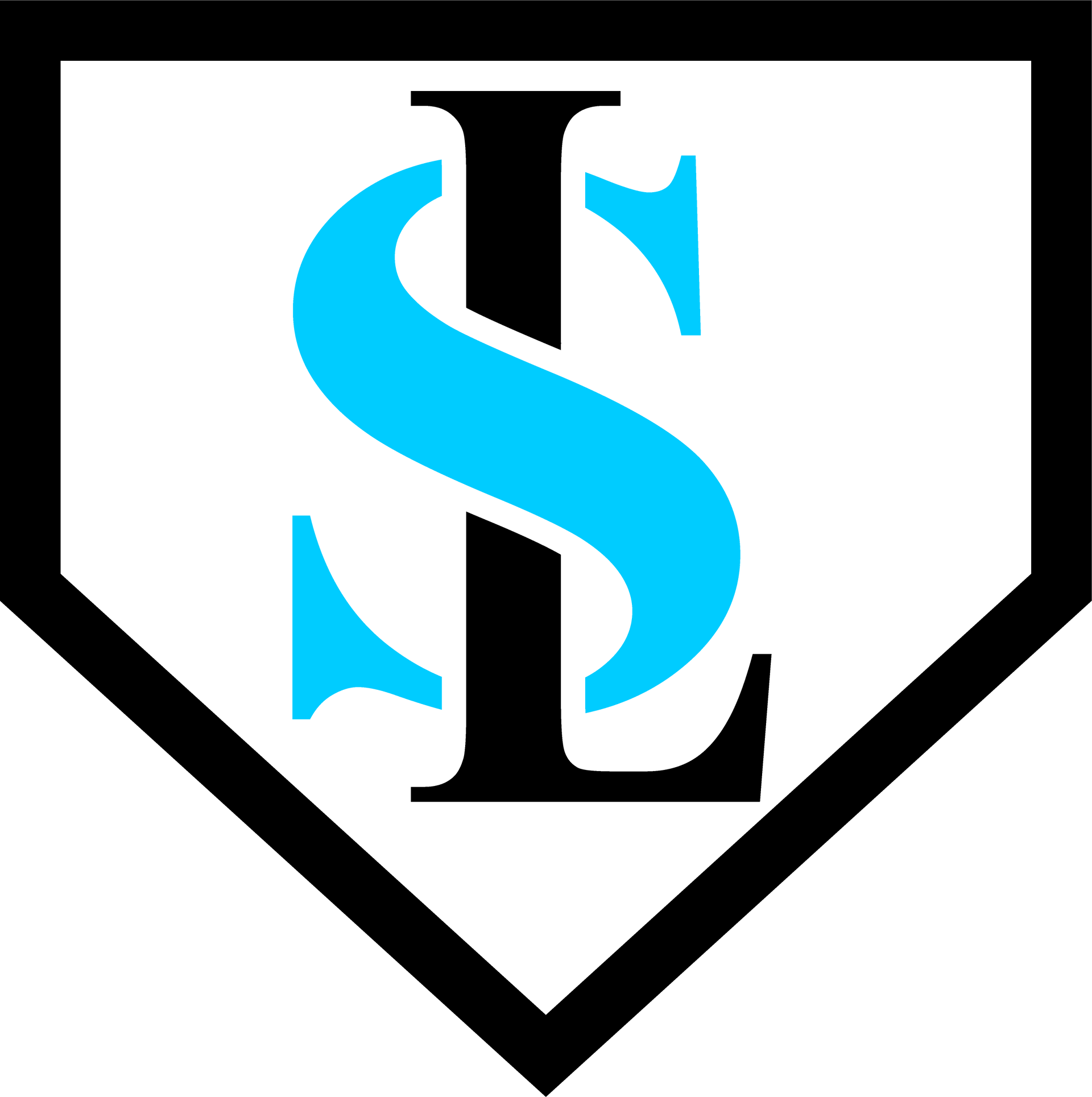 A blue letter s is on a black and white shield.