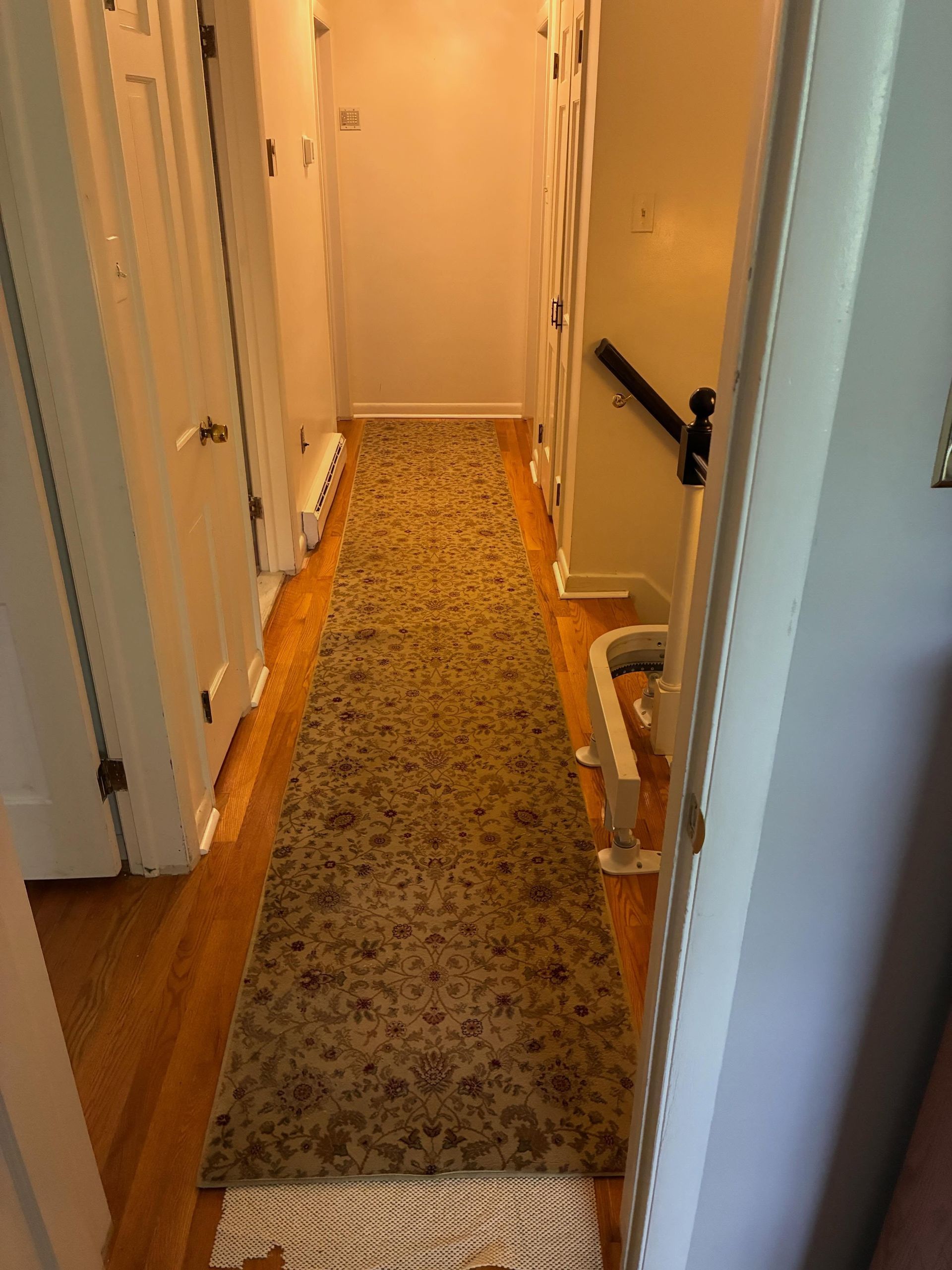 Narrow hallway with patterned runner rug, white doors, and a black handrail on the right.
