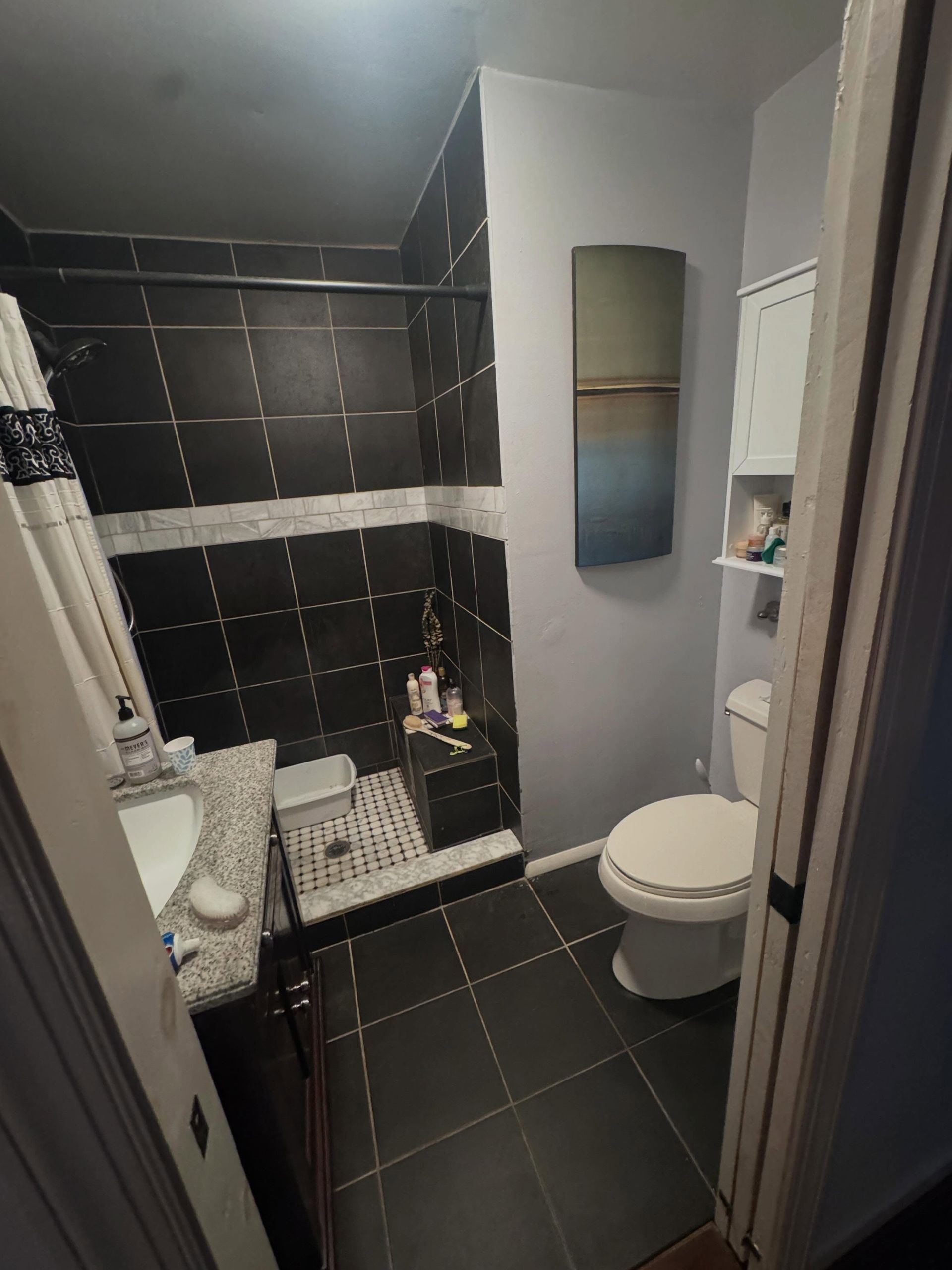 Small black-tiled bathroom with toilet, sink, mirror, and a shower curtain.