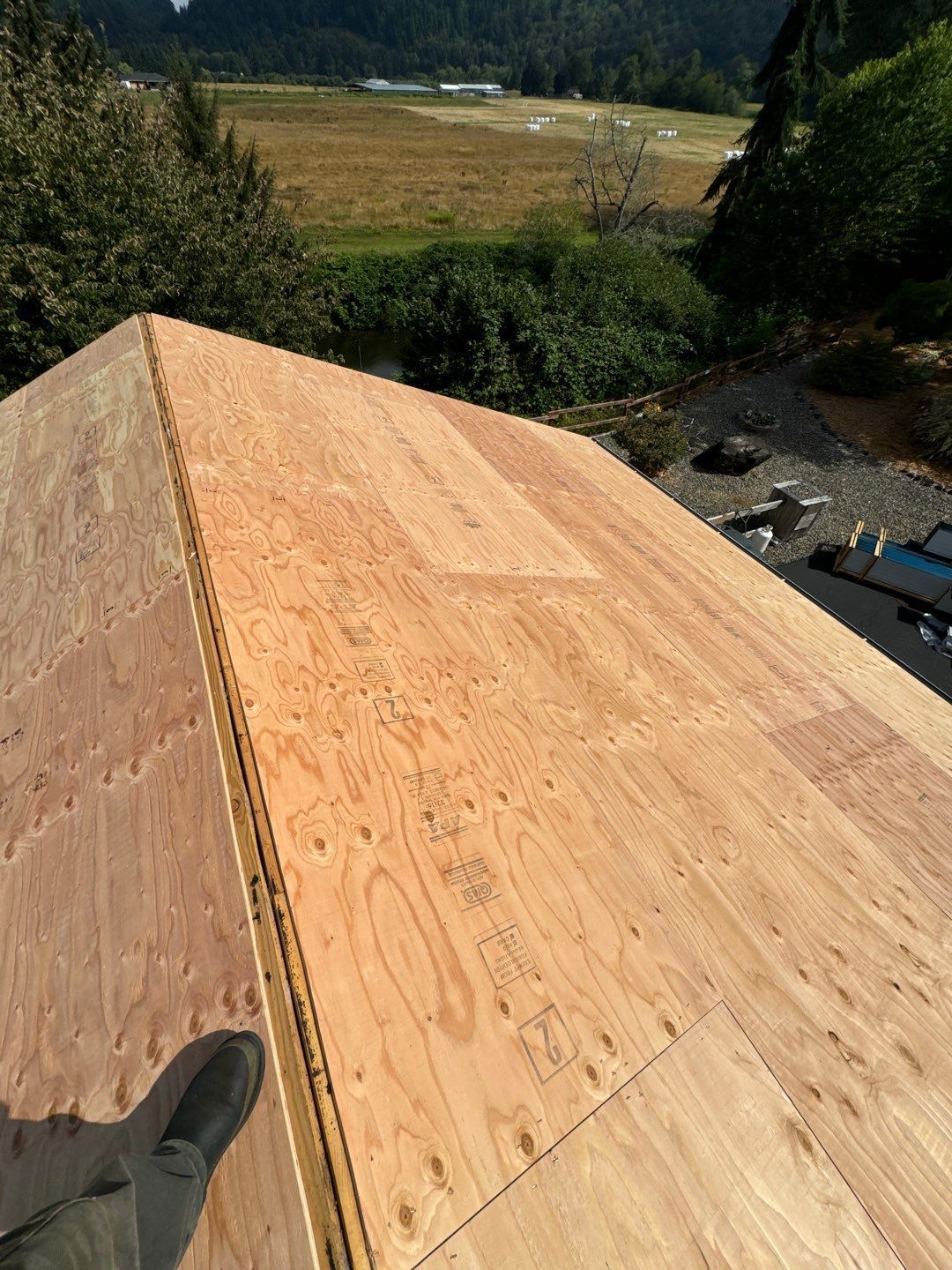 Local roofing contractor providing roof maintenance services in Lacey.