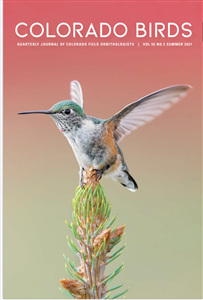 Cover of Colorado Birds journal with hummingbird perched on pine tree sprig