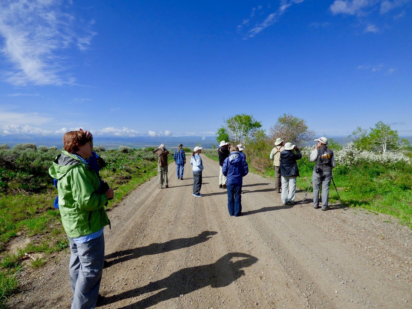 Birding_Steamboat_DianaBeatty