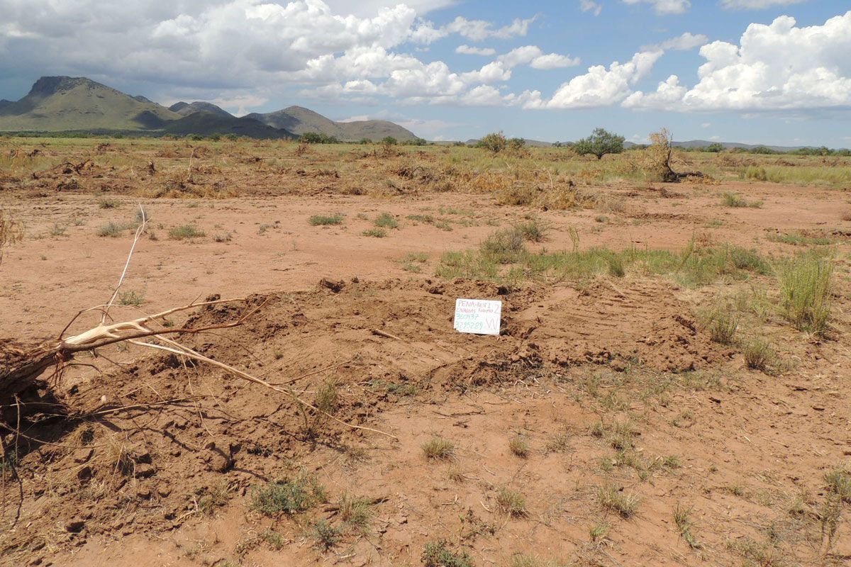 COBC-Mexico-Degraded-Habitat
