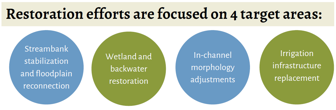Conejos_FocusAreas_Graphic Icon showing the four restoration effort focus areas: bank stabilization and floodplain reconnection; wetland and backwater restoration; in-channel morphology adjustments; and irrigation infrastructure replacement.