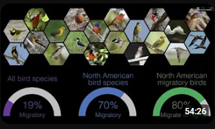 Dr. Kyle Horton presents his and his lab's recent research on bird migration.