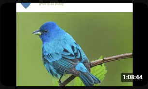 You’ve probably used a bird-finding guide to help find a prime location. 