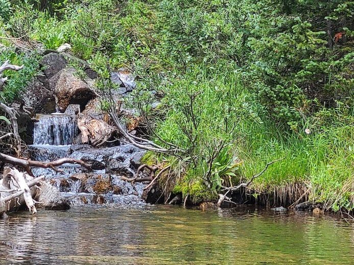 MountainRiparian_BoulderCounty_MeganJonesPatterson_4_3