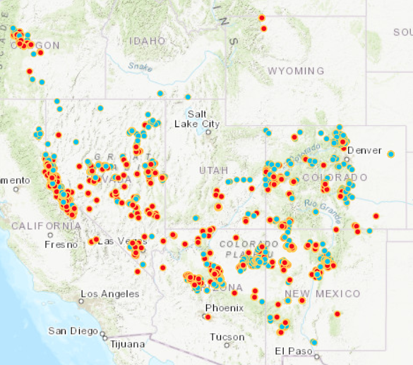 Pinyon Jay presence (red) and absence (blue) records that are part of the Pinyon Jay Community Science Project database as of early November 2024.