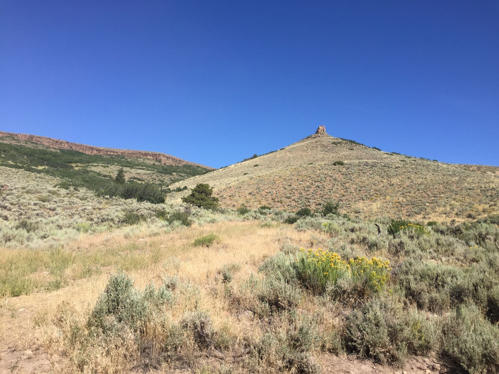 Red Creek_Gunnison_ PatrickMagee_sm