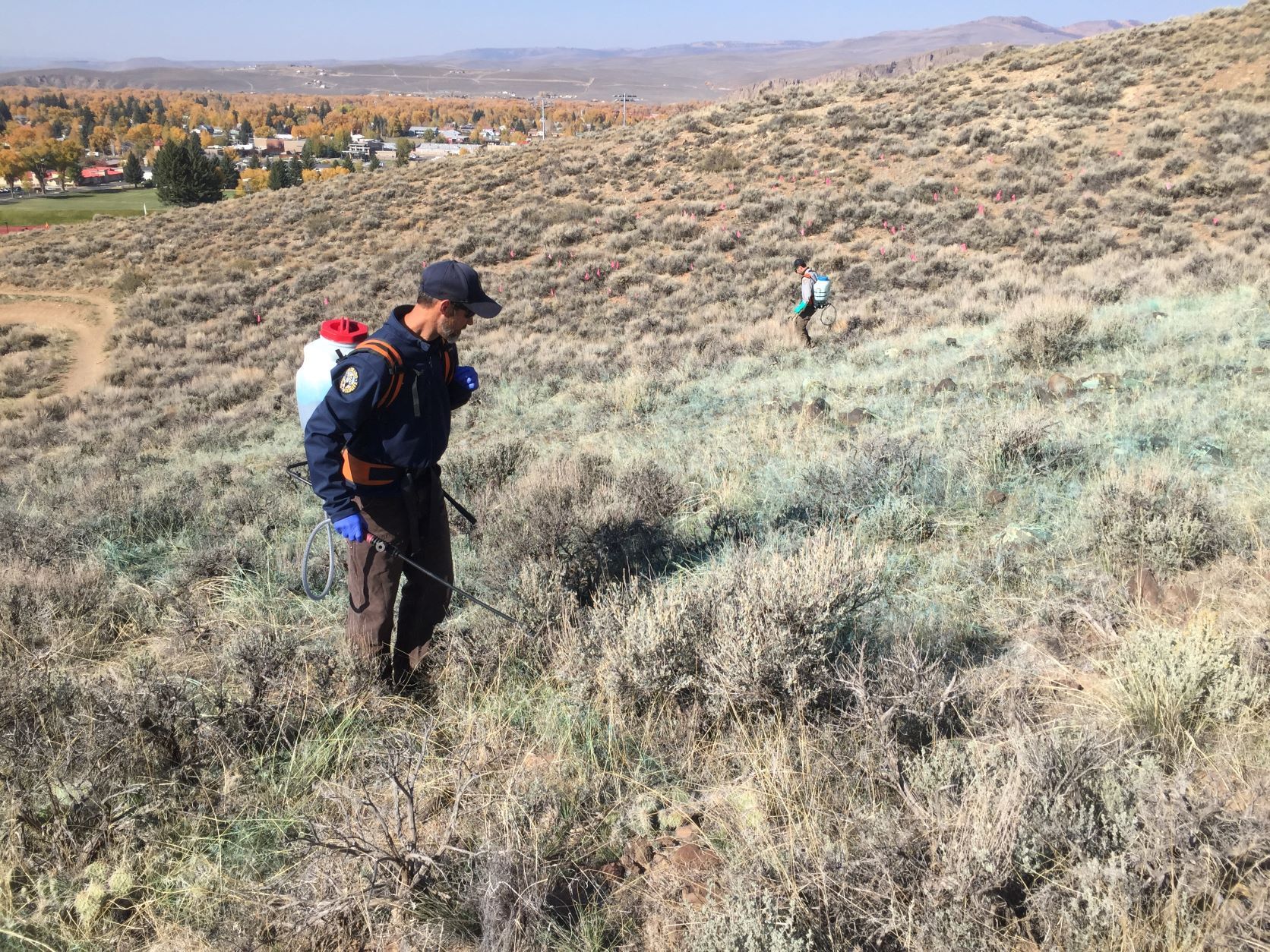 Spray cheatgrass_ Gunnison_Patrick Magee_sm