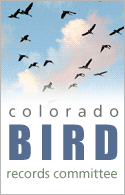 cobrc_logo cobrc_logo