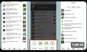 iNaturalist is a global science app. Learn to join, explore, and contribute data.