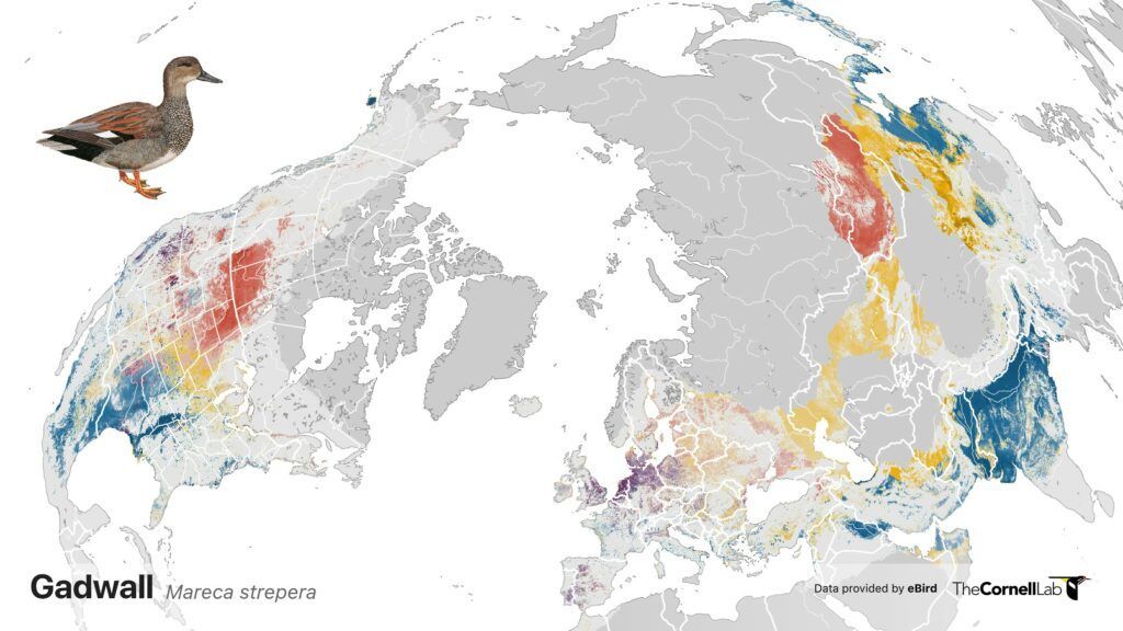st-news-gadwal-2021-2400-1024x576 st-news-gadwal-2021-2400-1024x576