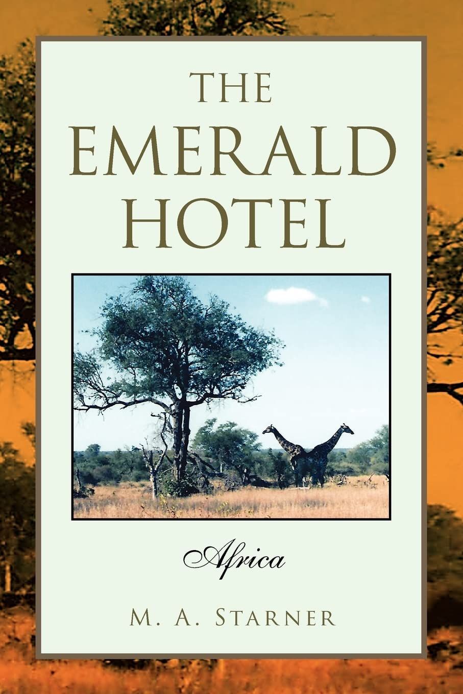 Book cover of