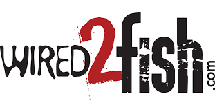 Wired2fish logo in black and red text on a white background
