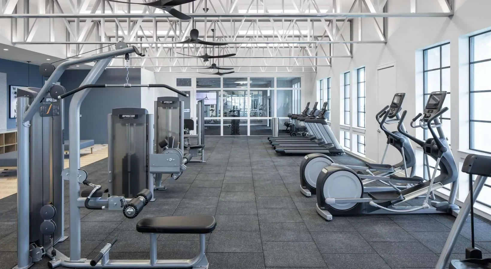 Modern gym with cardio machines, weight machines, and large windows.