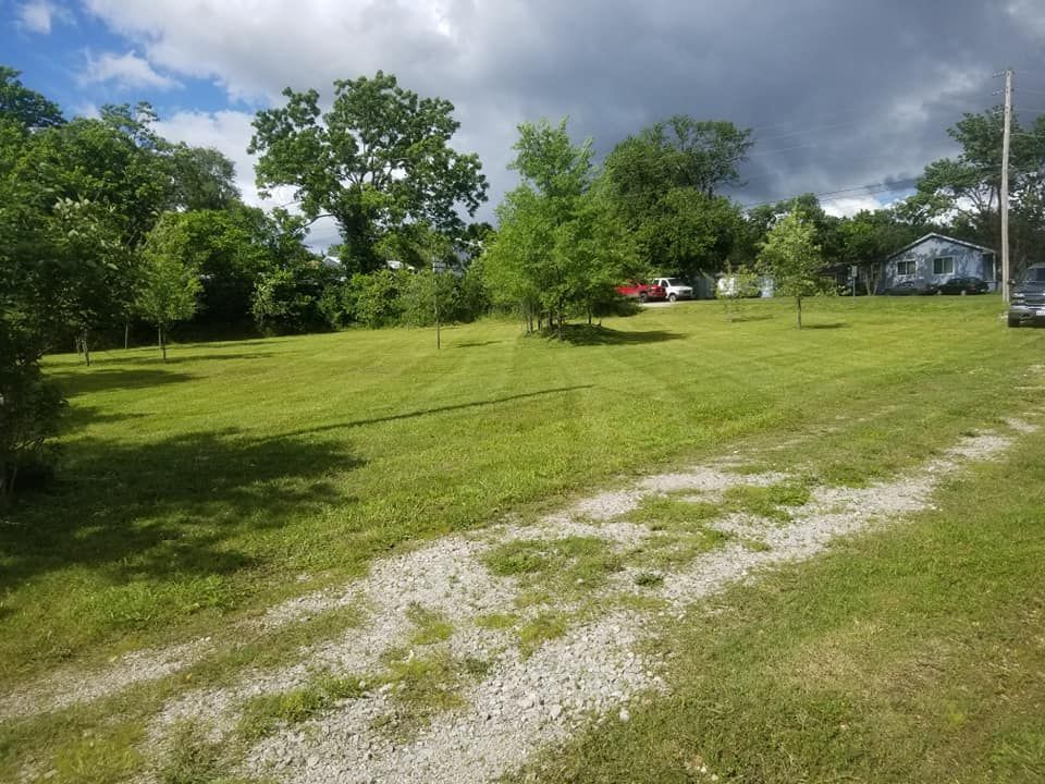 Grassy field with small trees and a gravel road under a cloudy sky.