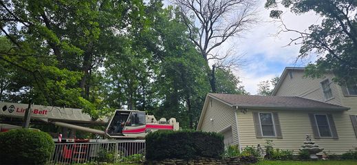 A crane trimming trees near a house with a stone fountain and a blue sky.