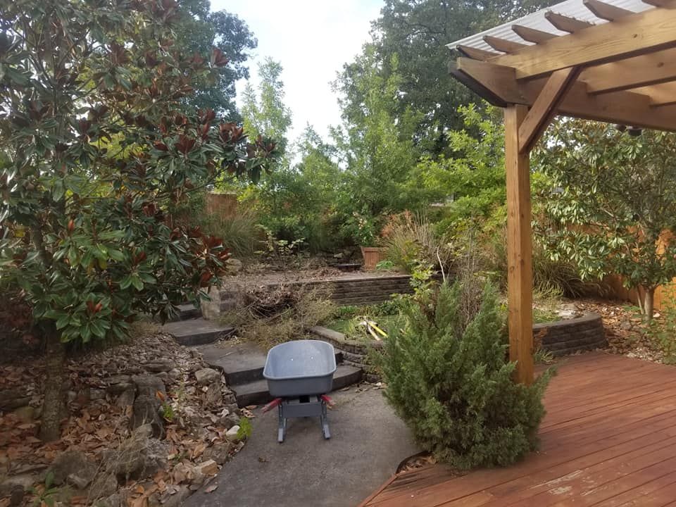 Backyard with a wooden deck and pergola, stone steps, and various plants and trees.