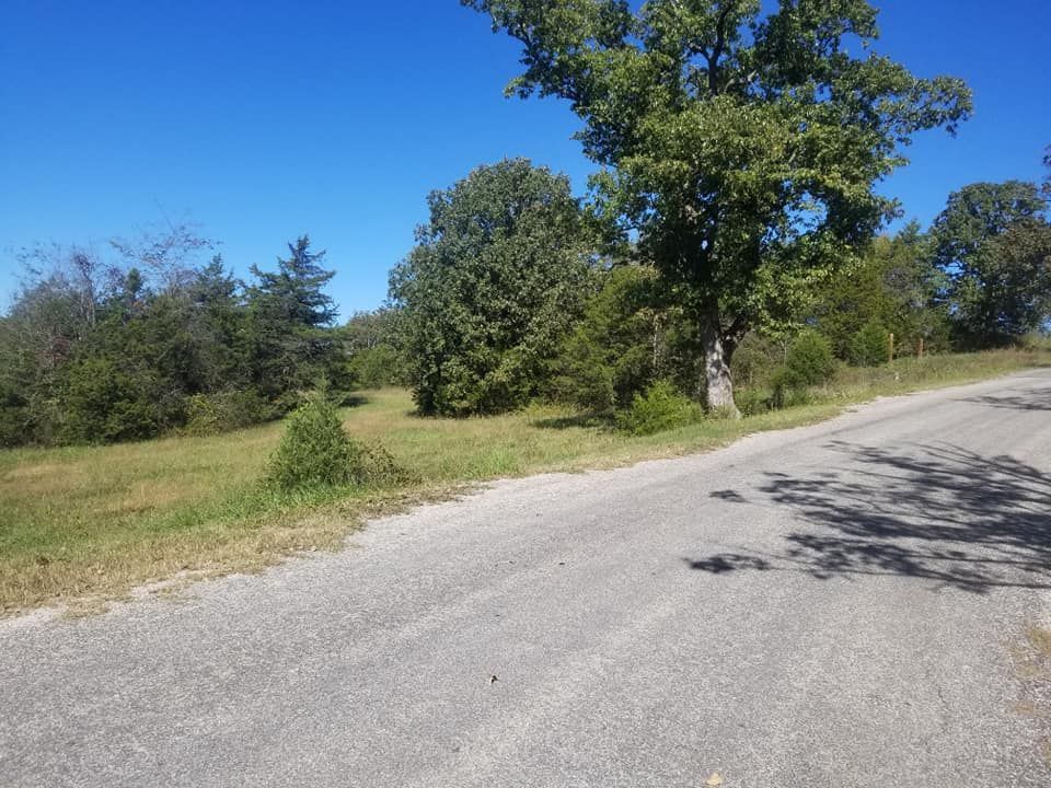 A gravel road leads past grassy land and trees under a clear blue sky.