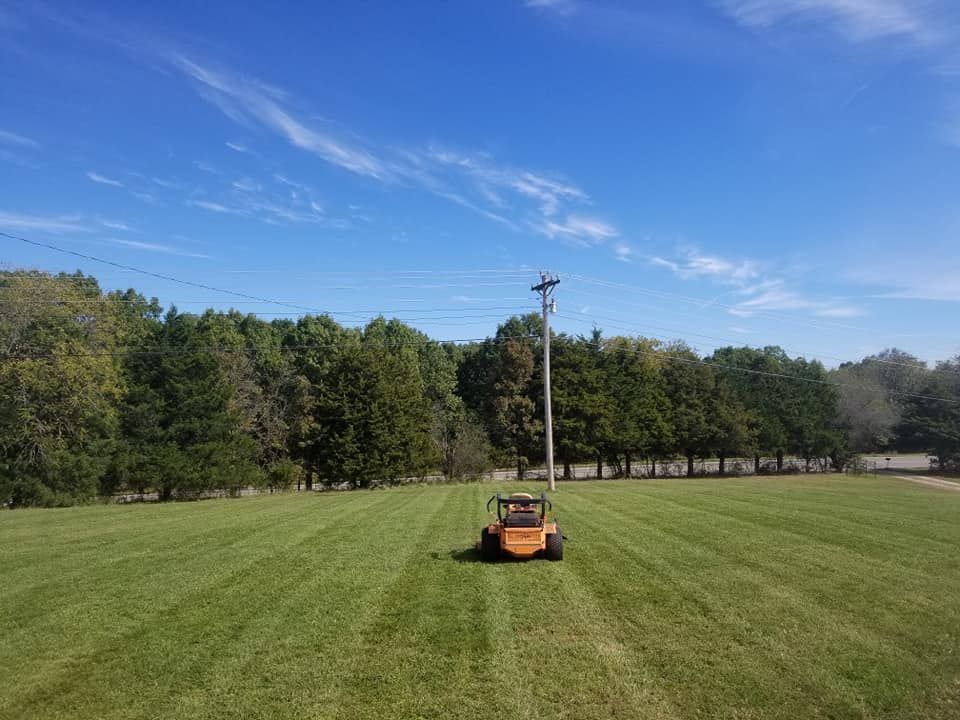 Orange lawnmower cutting grass in a field under a blue sky with trees in the background.
