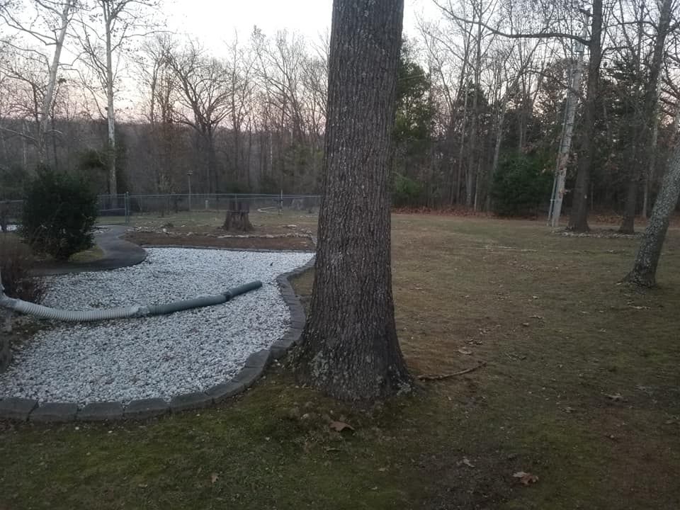 A tree in a yard with a rock pathway, grass, and a wooded background under a dusky sky.