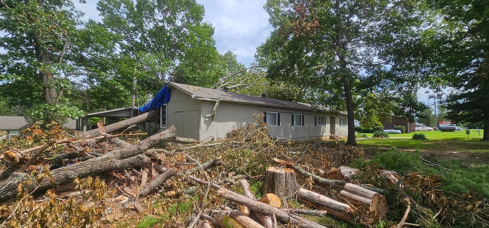 A building with a blue tarp on the roof surrounded by tree debris in a wooded area.