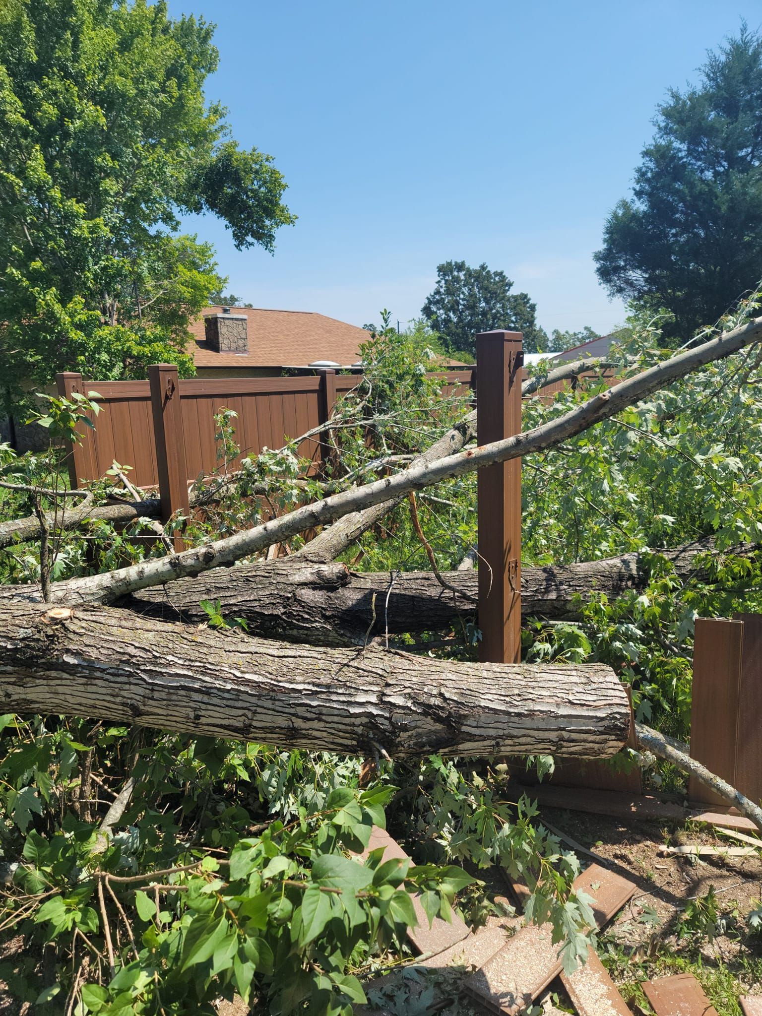 Fallen tree branches on a wooden fence, blocking the view. Green foliage and a blue sky in the background.