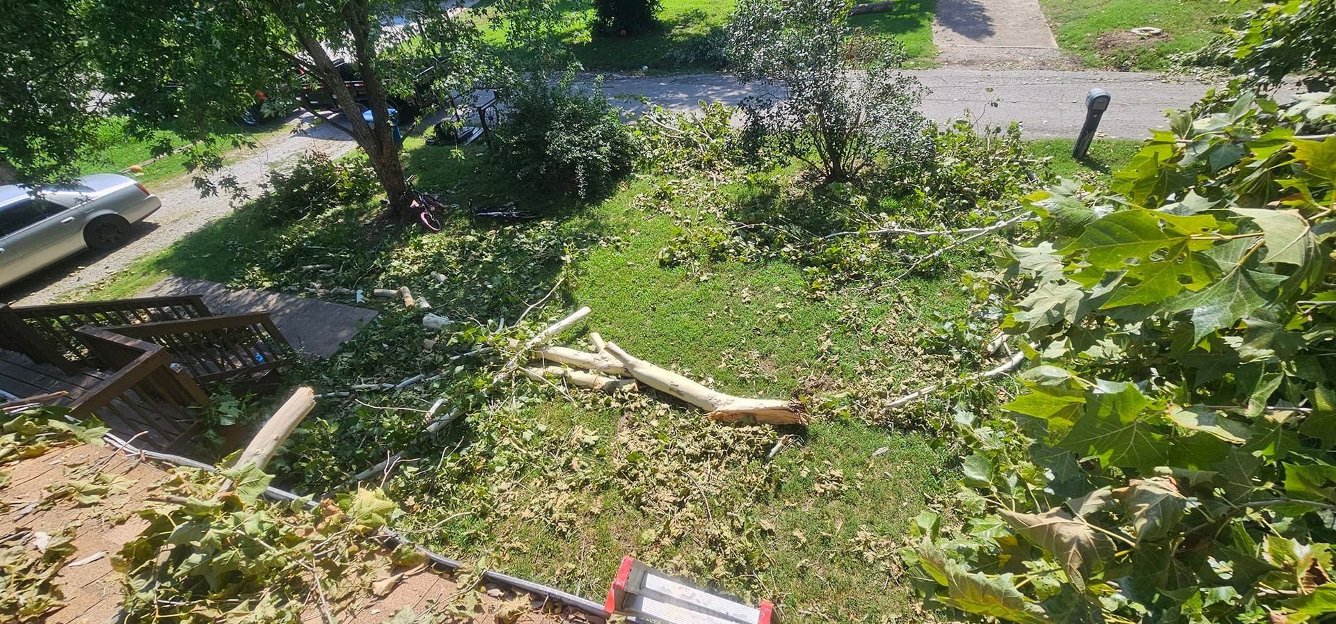 View from above of a yard with cut tree branches and a car parked on the side. Green grass is visible.