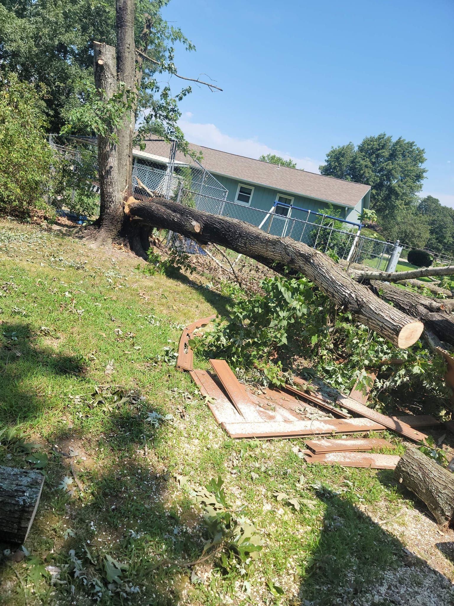 Felled tree trunk on a grassy hill; house in the background. Bright sunny day.