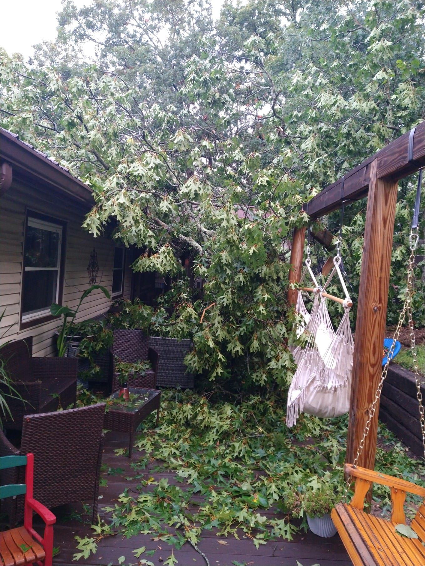 Tree fallen onto a wooden deck with furniture. Green leaves and branches cover the seating area.