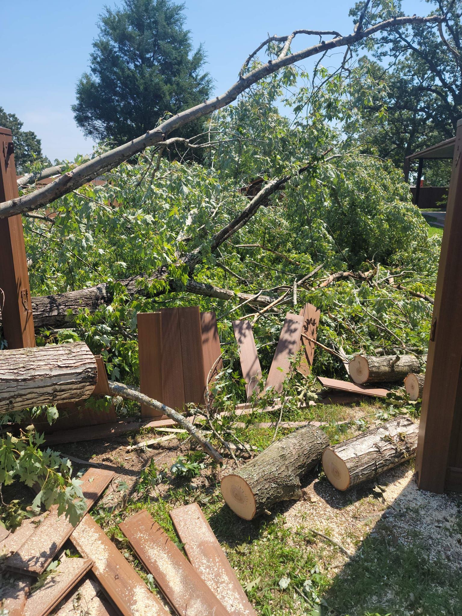 Fallen tree debris on a lawn, including logs and branches, by a brown structure; sunny day.